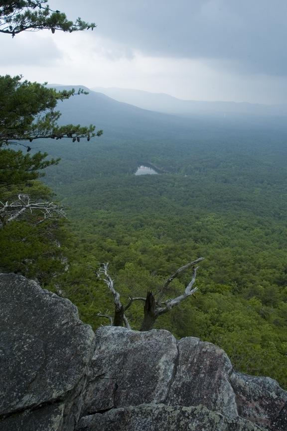 Talladega National Forest  City of Goodwater